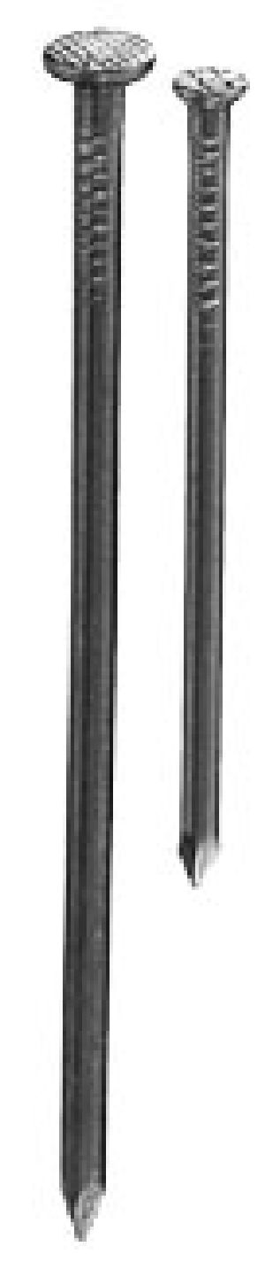 DS80.jpg Drahtstifte 3,1x80mm